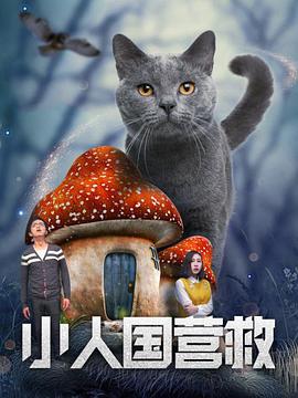 99爱精品视频