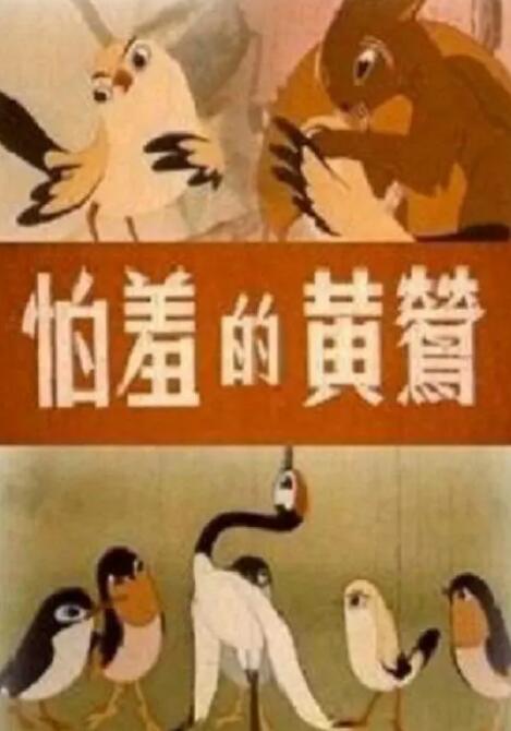 精品自拍视频