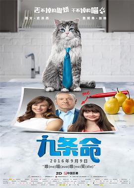 长河落日电视剧免费观看
