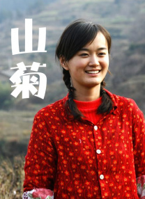 速战拍档