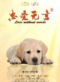 新来的女律师