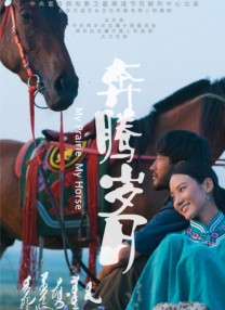 纶理片
