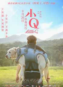 在梦里出现的邻居
