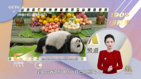 叼嘿免费